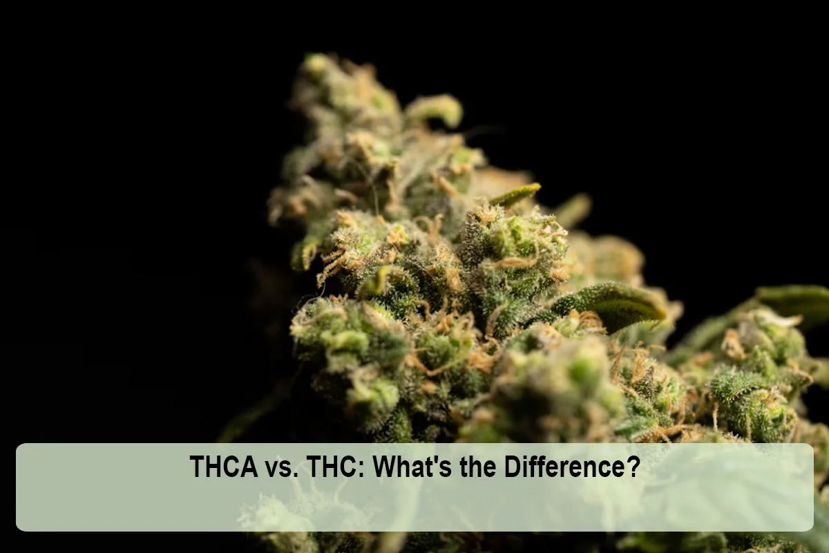 thca-vs-thc-1791697342.webp