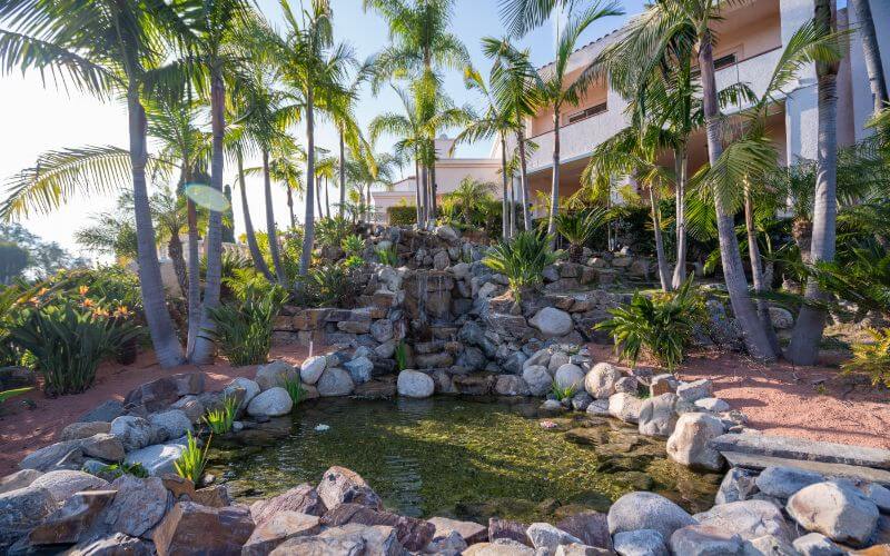 Villa Oasis San Diego Gallery