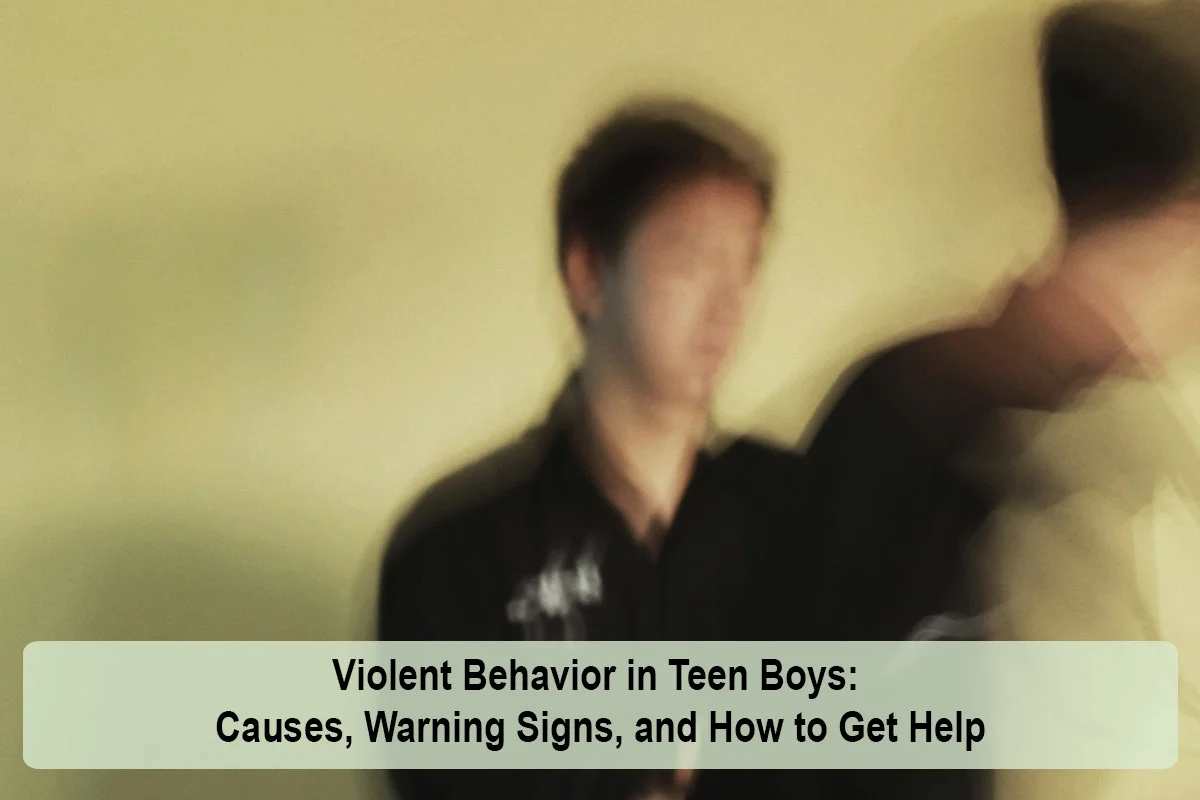 violent-behavior-in-teen-boys-1792925242.webp