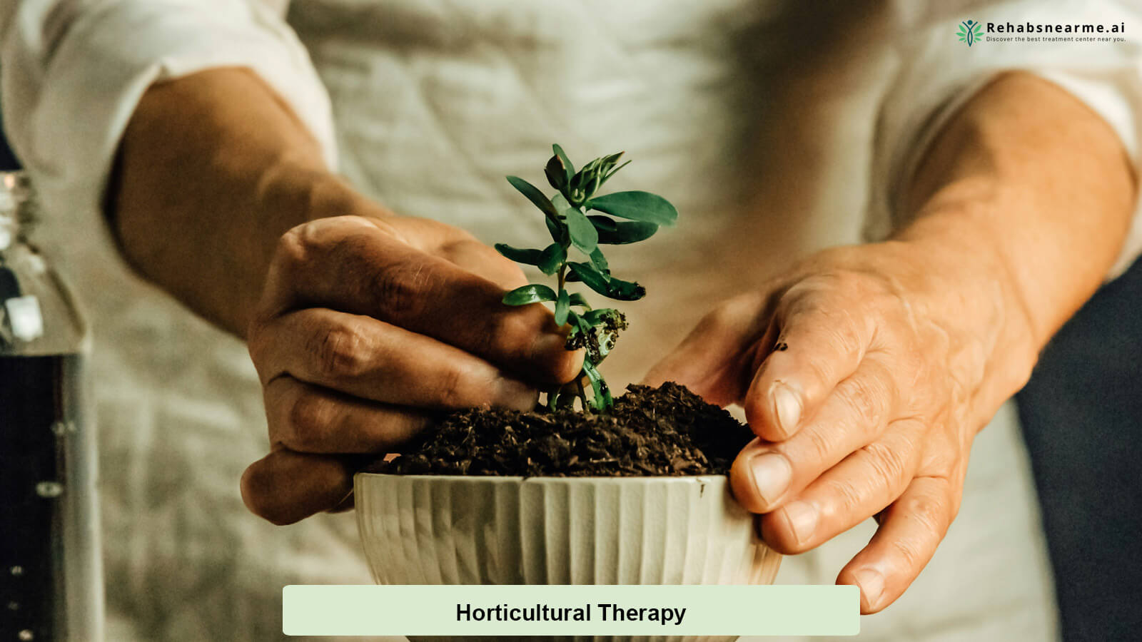 Horticultural Therapy Treatment Therapy